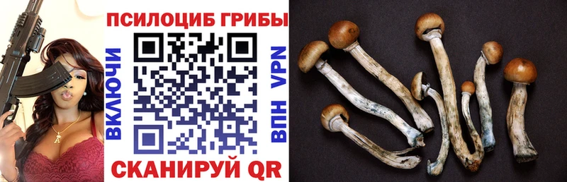 Галлюциногенные грибы Cubensis  купить наркоту  mega вход  Слюдянка 
